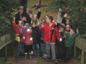 wald.jpg (55716 Byte)